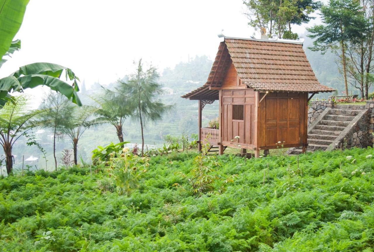 Ipienk Tawamangu Resor